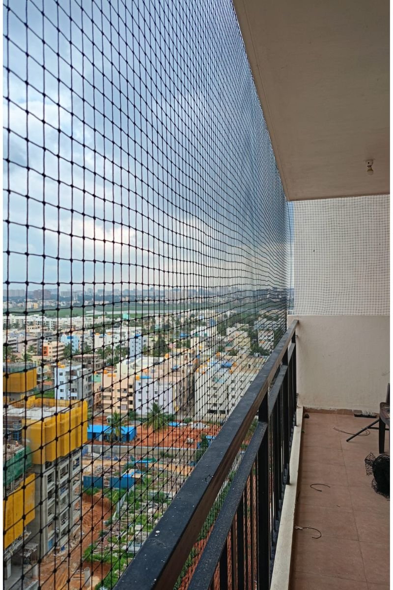 Terrace Pigeon Net