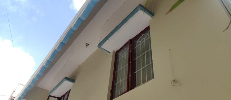 Window Bird Protection Nets
