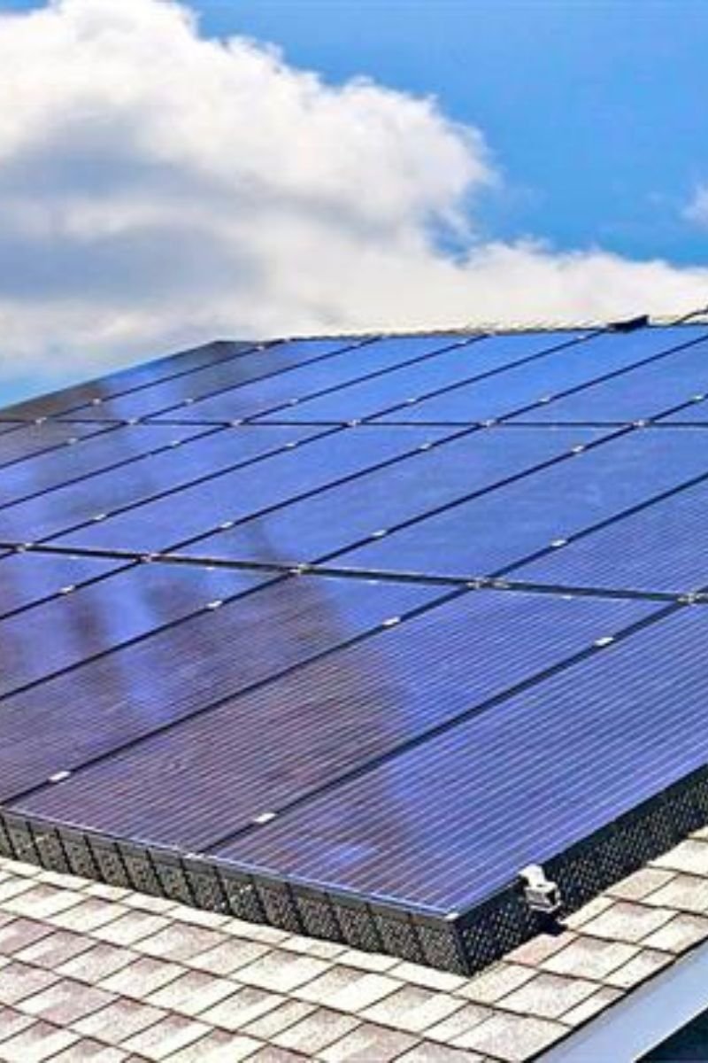 Solar Panel Bird Protection