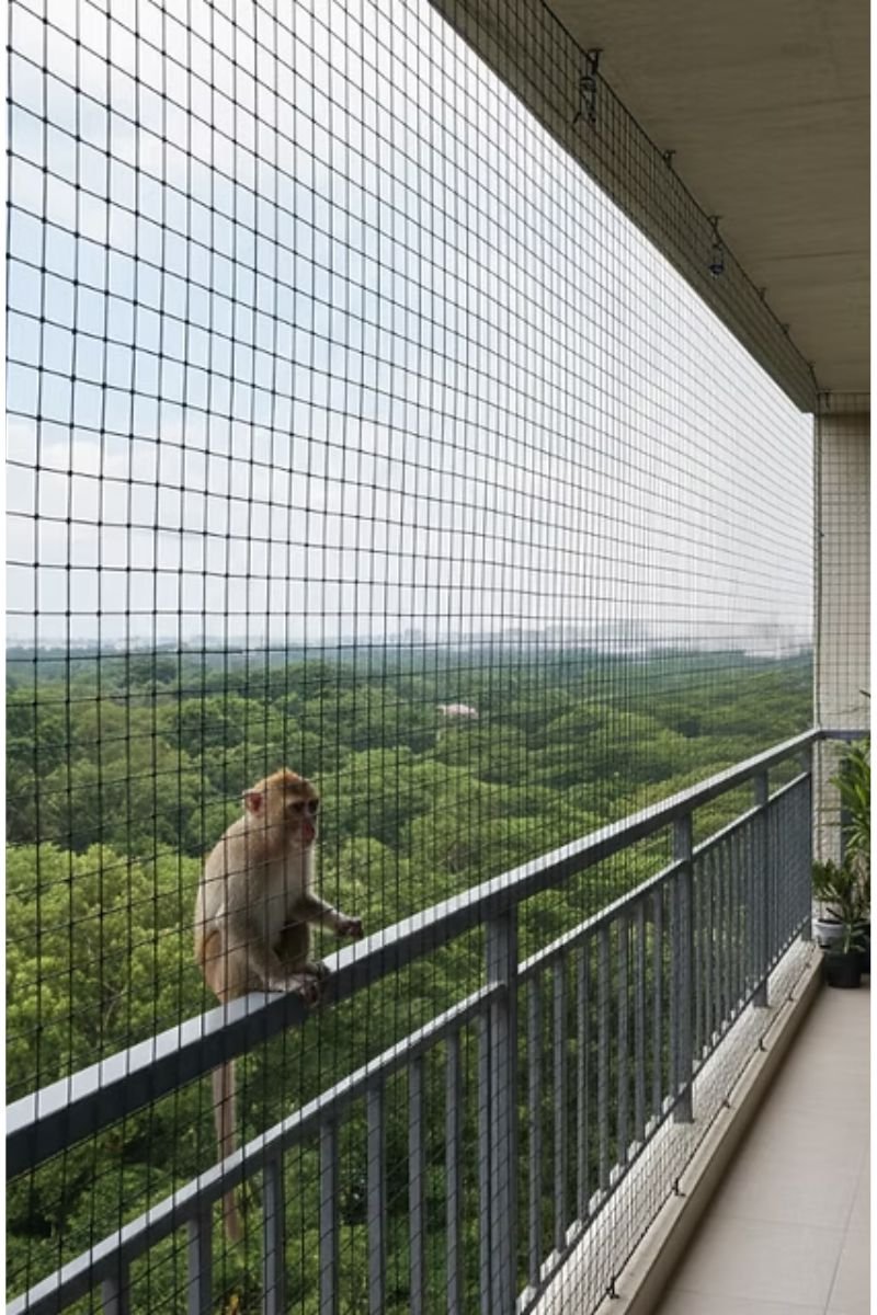 Monkey Protection Nets